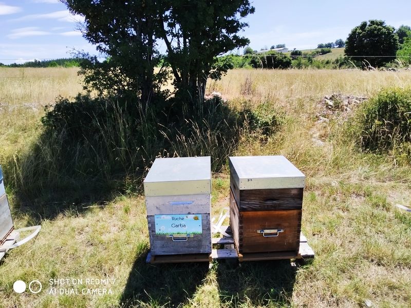 La ruche Garba