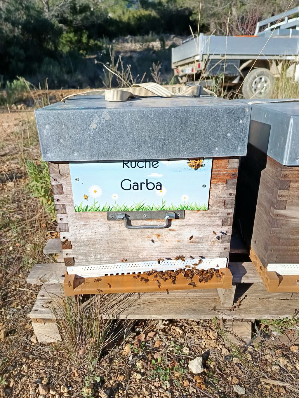 La ruche Garba