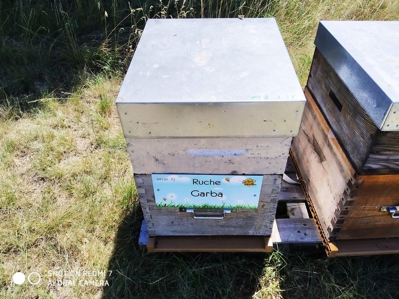 La ruche Garba