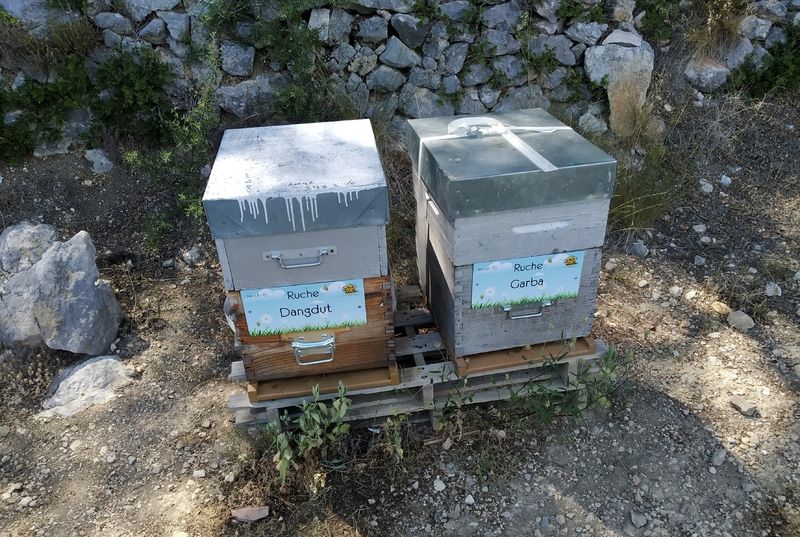 La ruche Garba