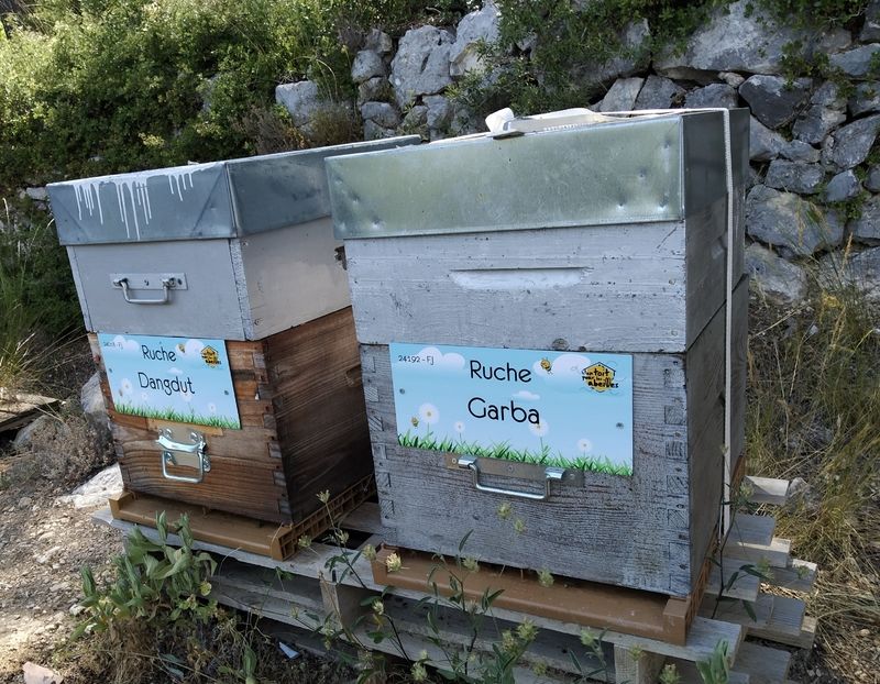 La ruche Garba