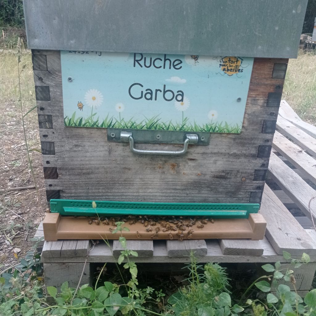 La ruche Garba