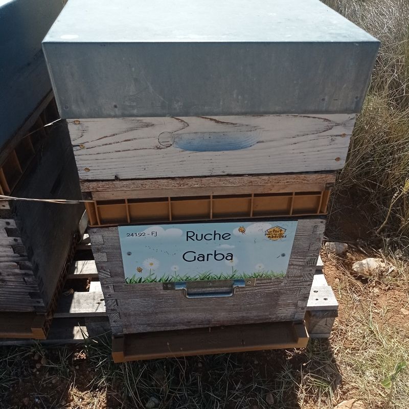 La ruche Garba
