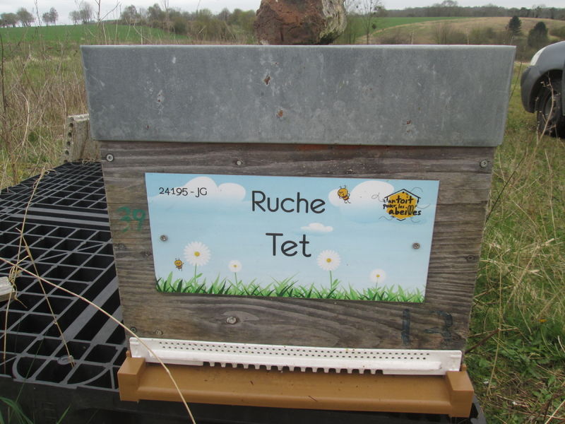 La ruche Tet