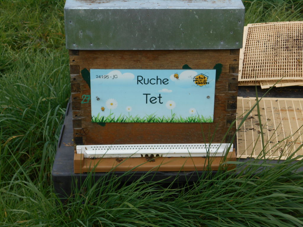 La ruche Tet