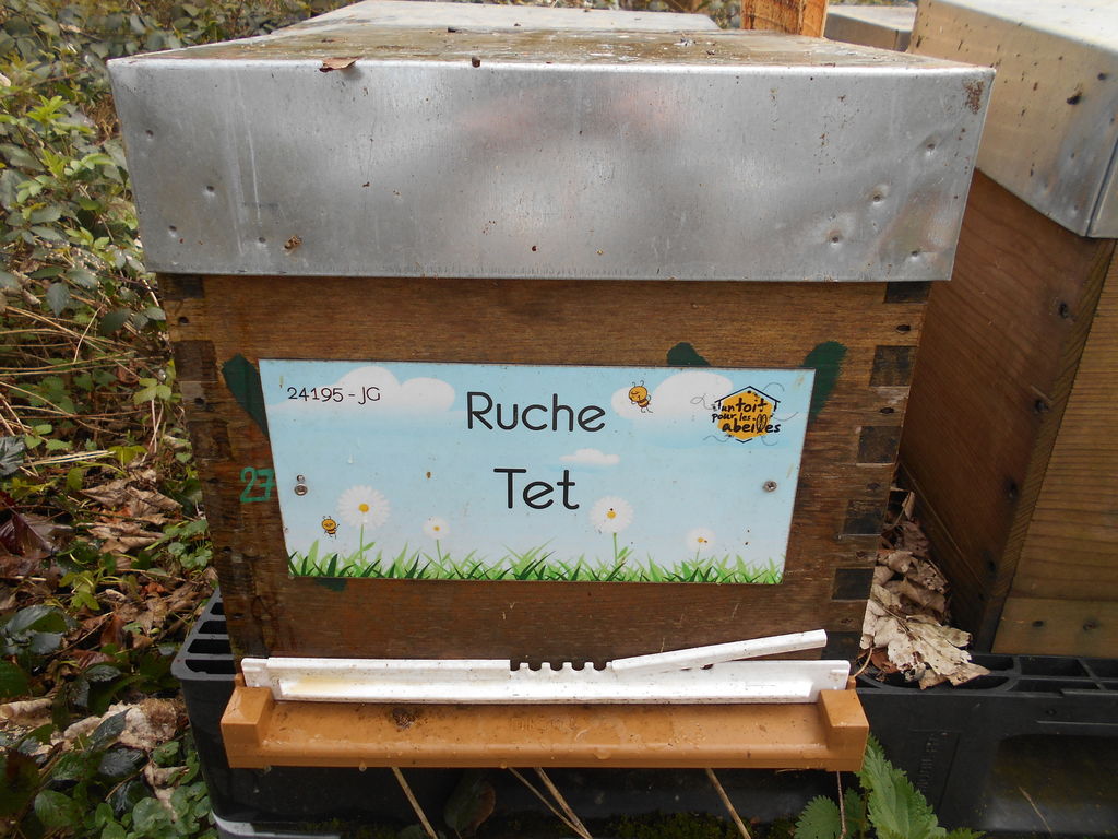 La ruche Tet