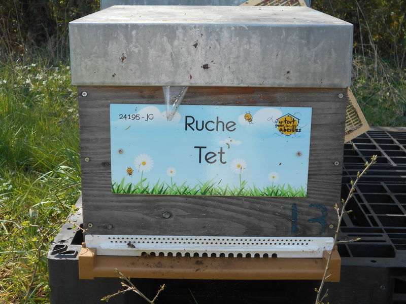 La ruche Tet
