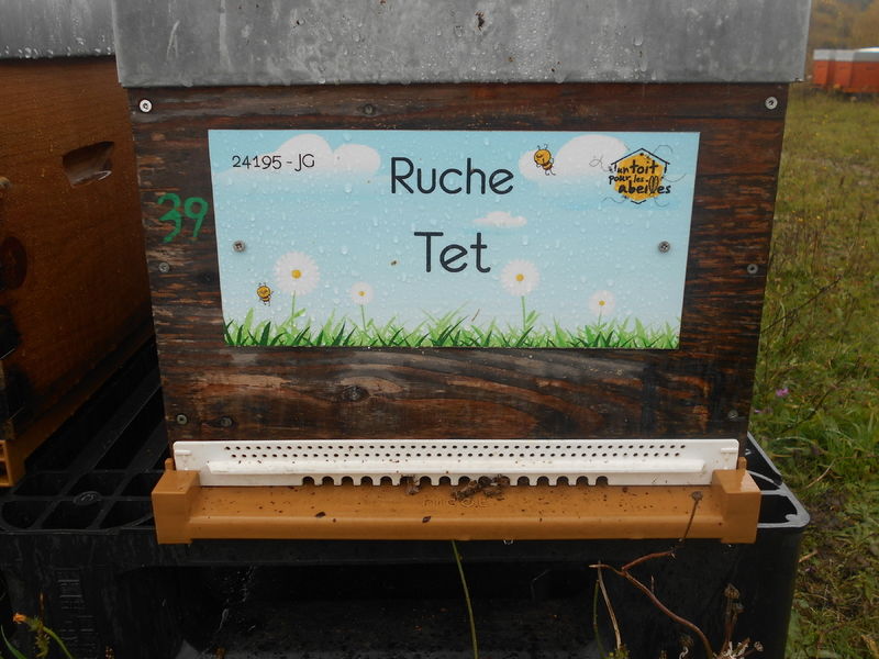 La ruche Tet