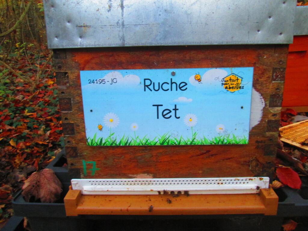 La ruche Tet