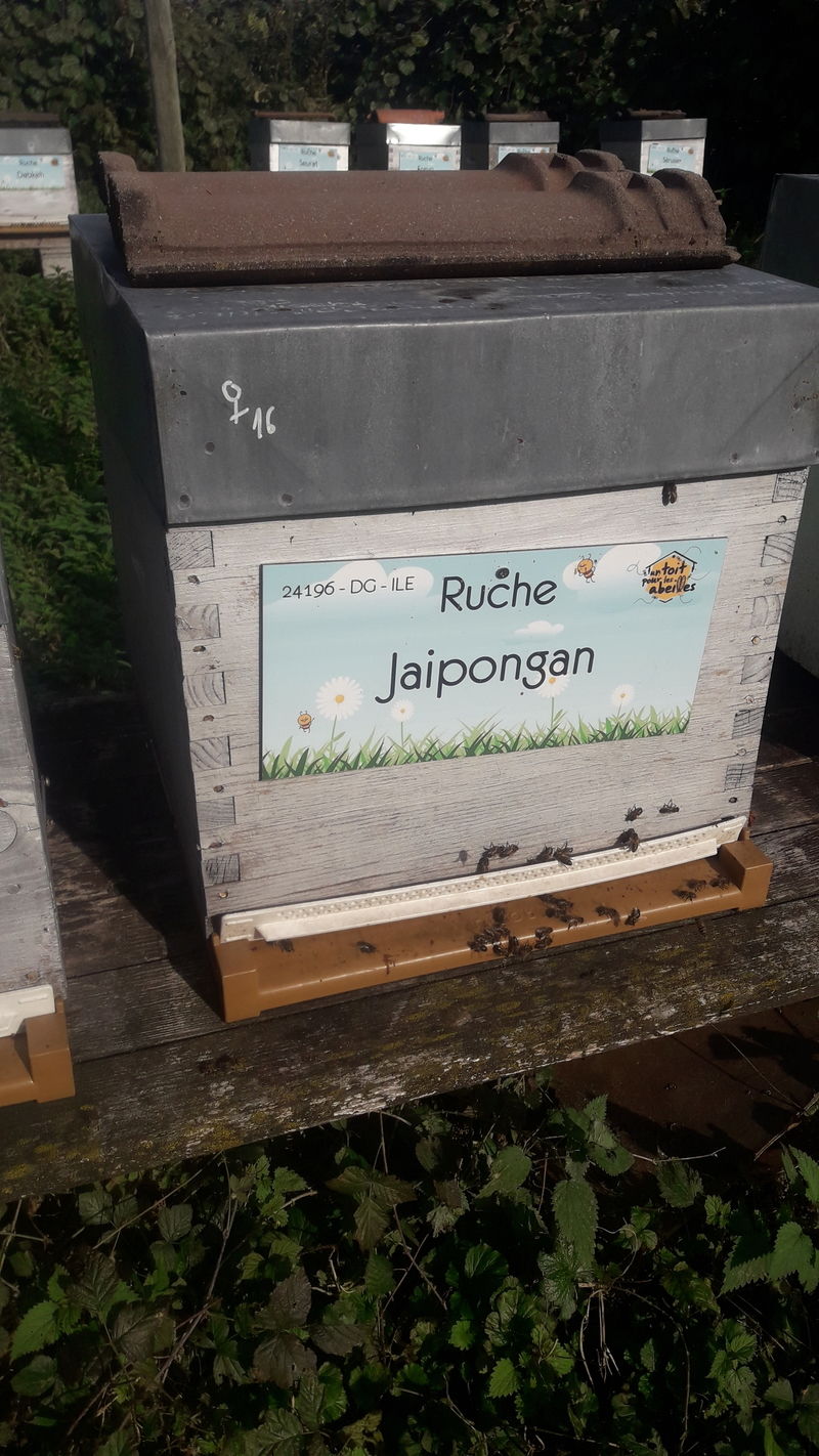 La ruche