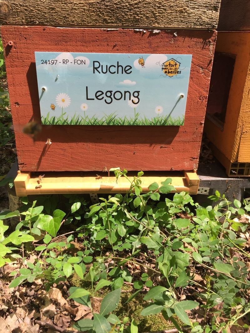 La ruche