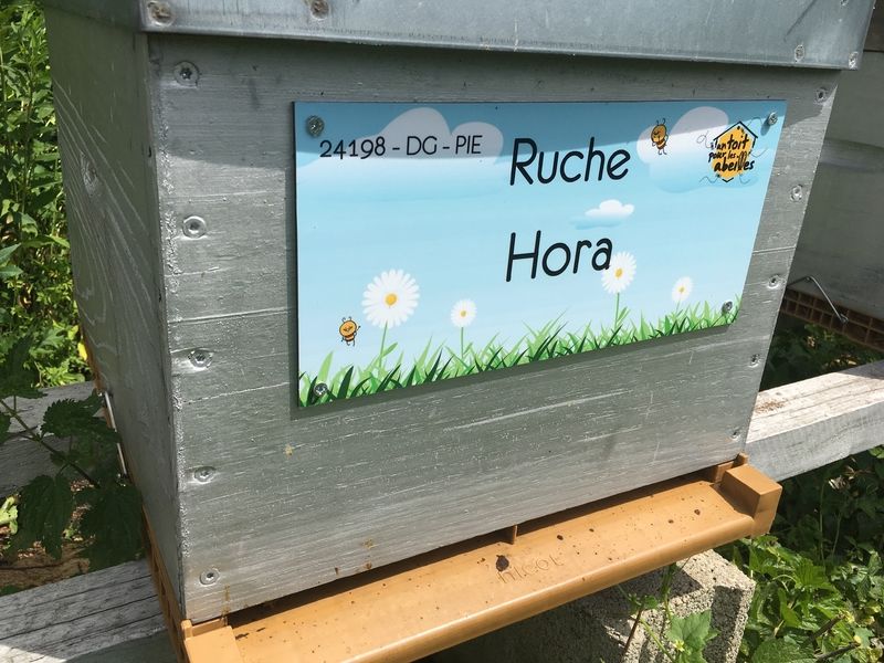 La ruche Hora