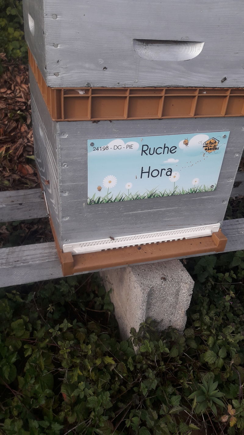 La ruche