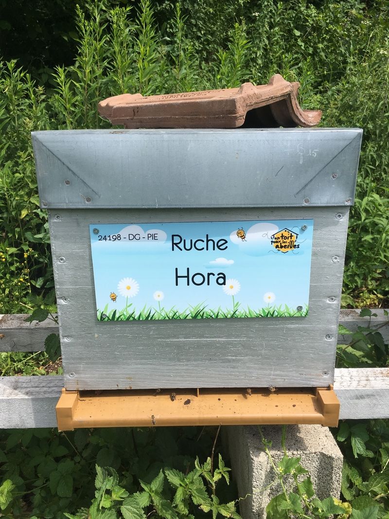 La ruche Hora