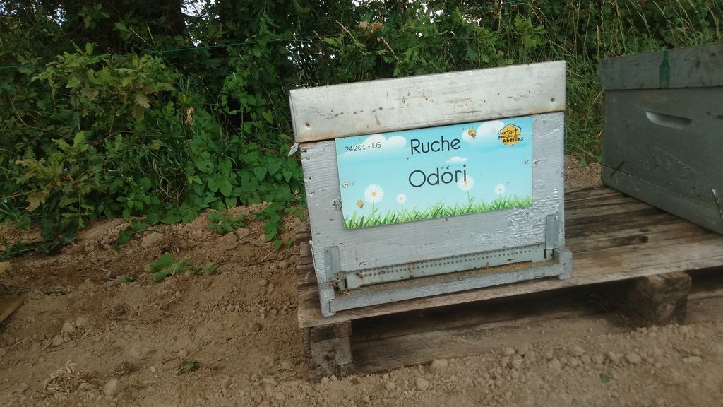 La ruche