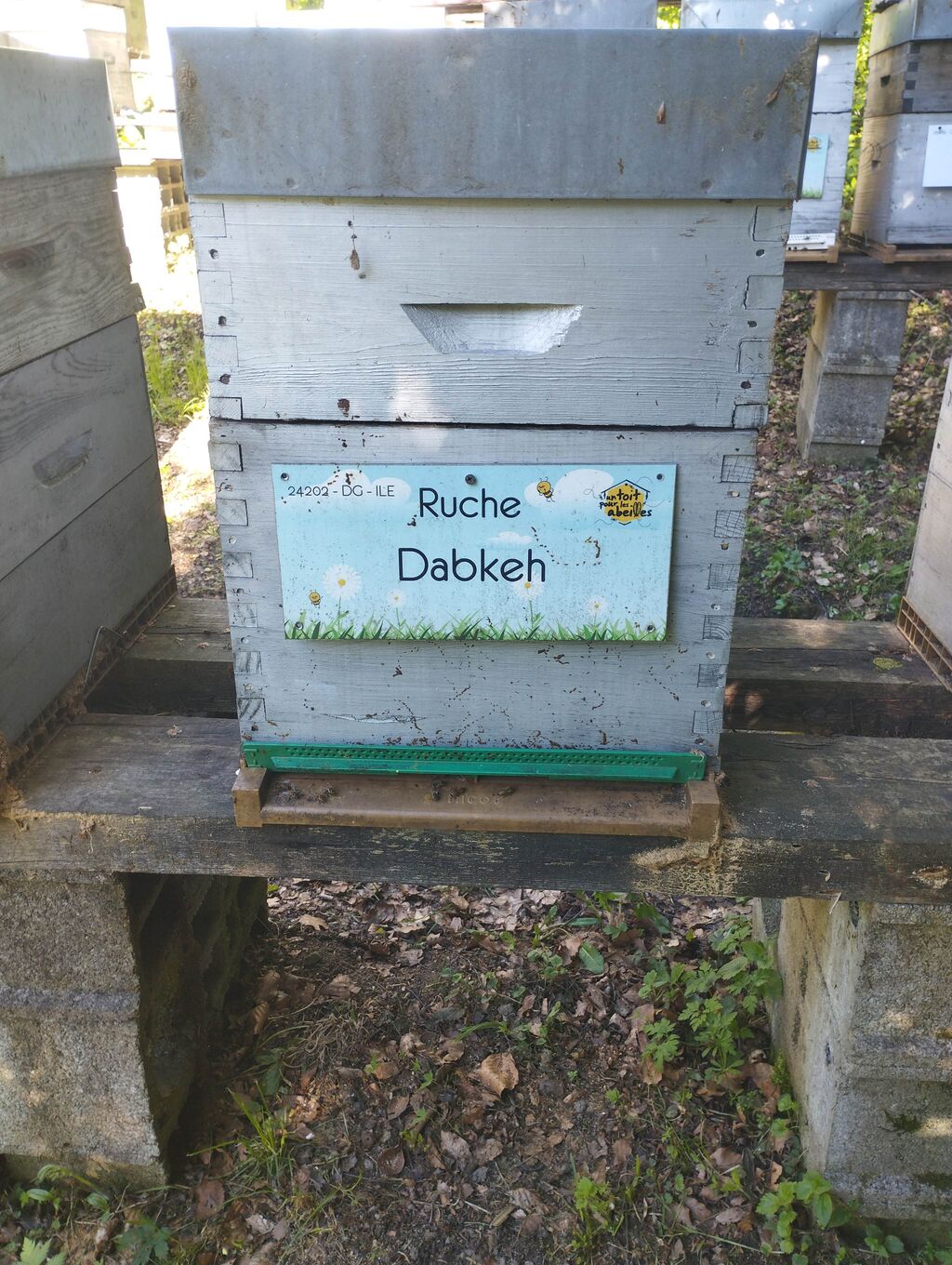 La ruche Dabkeh