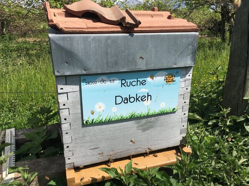 La ruche Dabkeh
