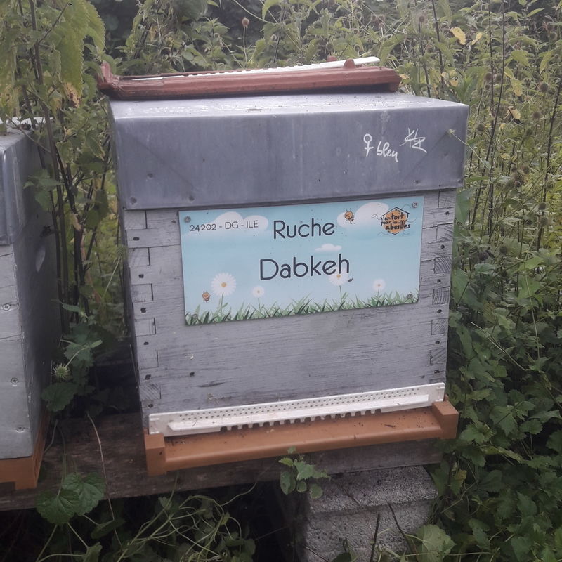 La ruche Dabkeh
