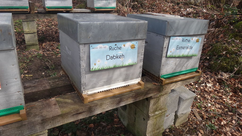 La ruche Dabkeh