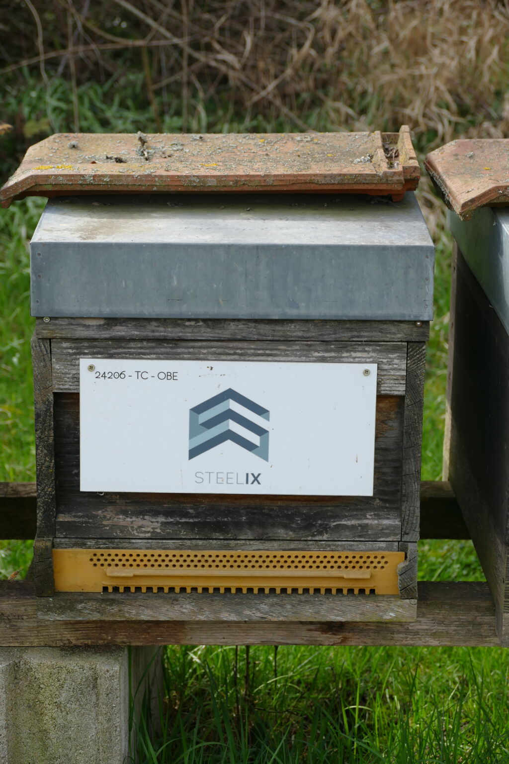 La ruche Steelix/ echelle européenne 67