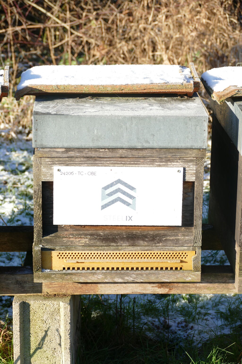 La ruche Steelix/ echelle européenne 67