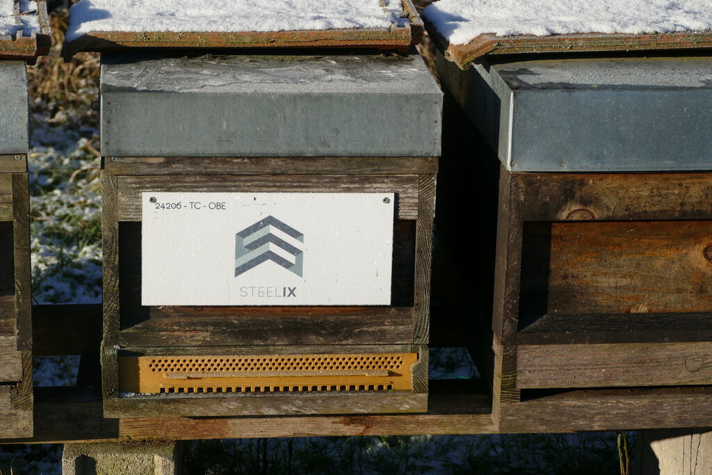 La ruche Steelix/ echelle européenne 67