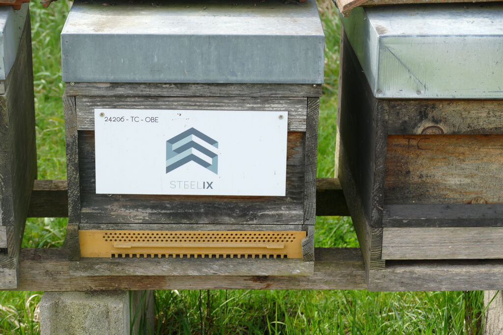 La ruche Steelix/ echelle européenne 67