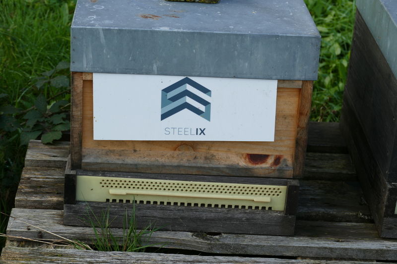 La ruche Steelix/ echelle européenne 67