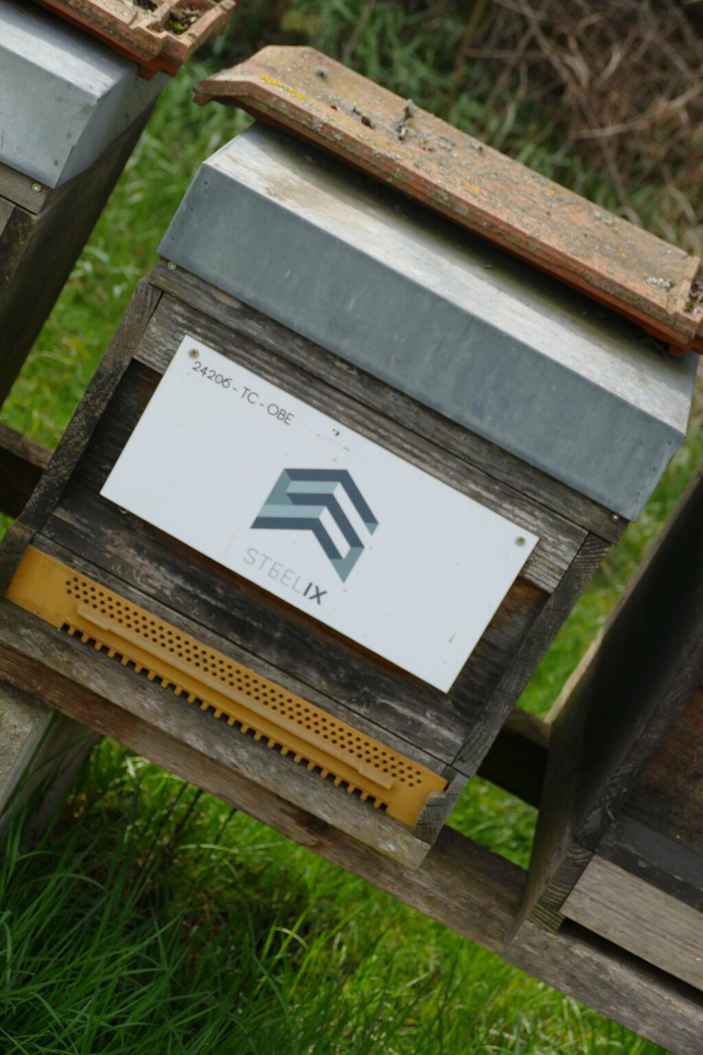 La ruche Steelix/ echelle européenne 67