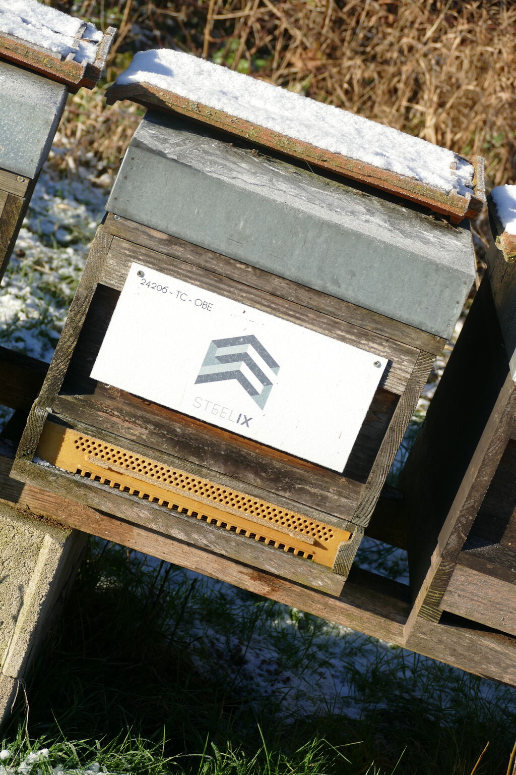 La ruche Steelix/ echelle européenne 67