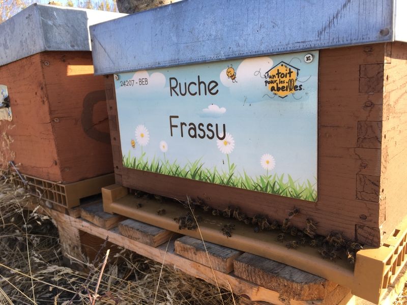 La ruche Frassu