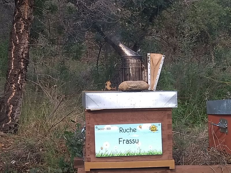 La ruche Frassu