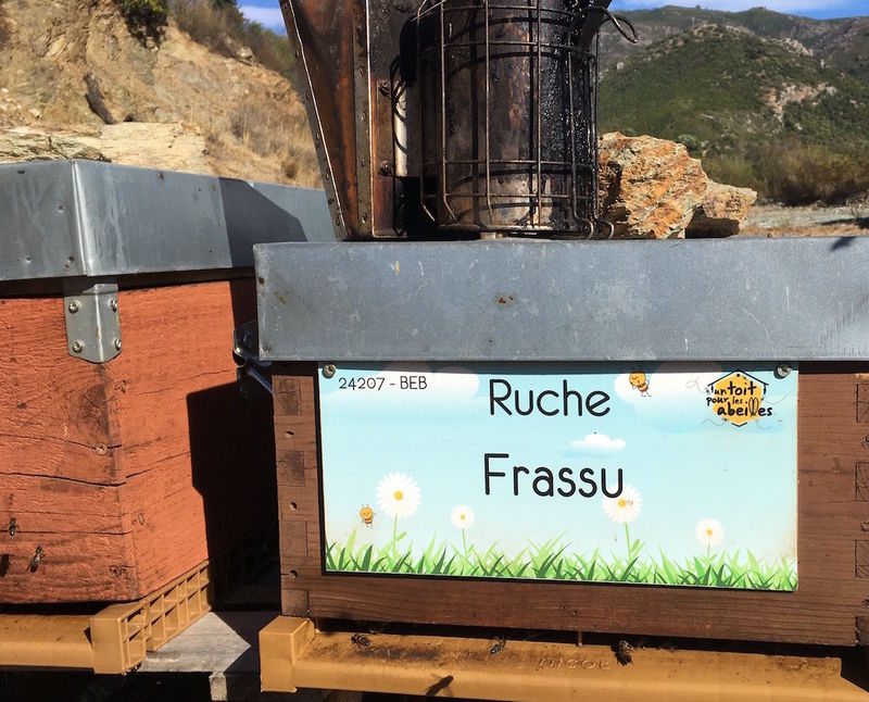 La ruche Frassu