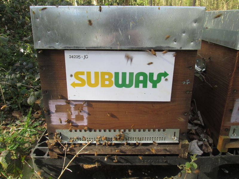 La ruche SARL Subwaynoyelles