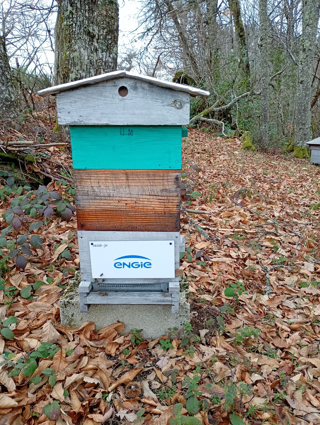 La ruche ENGIE - MPPA