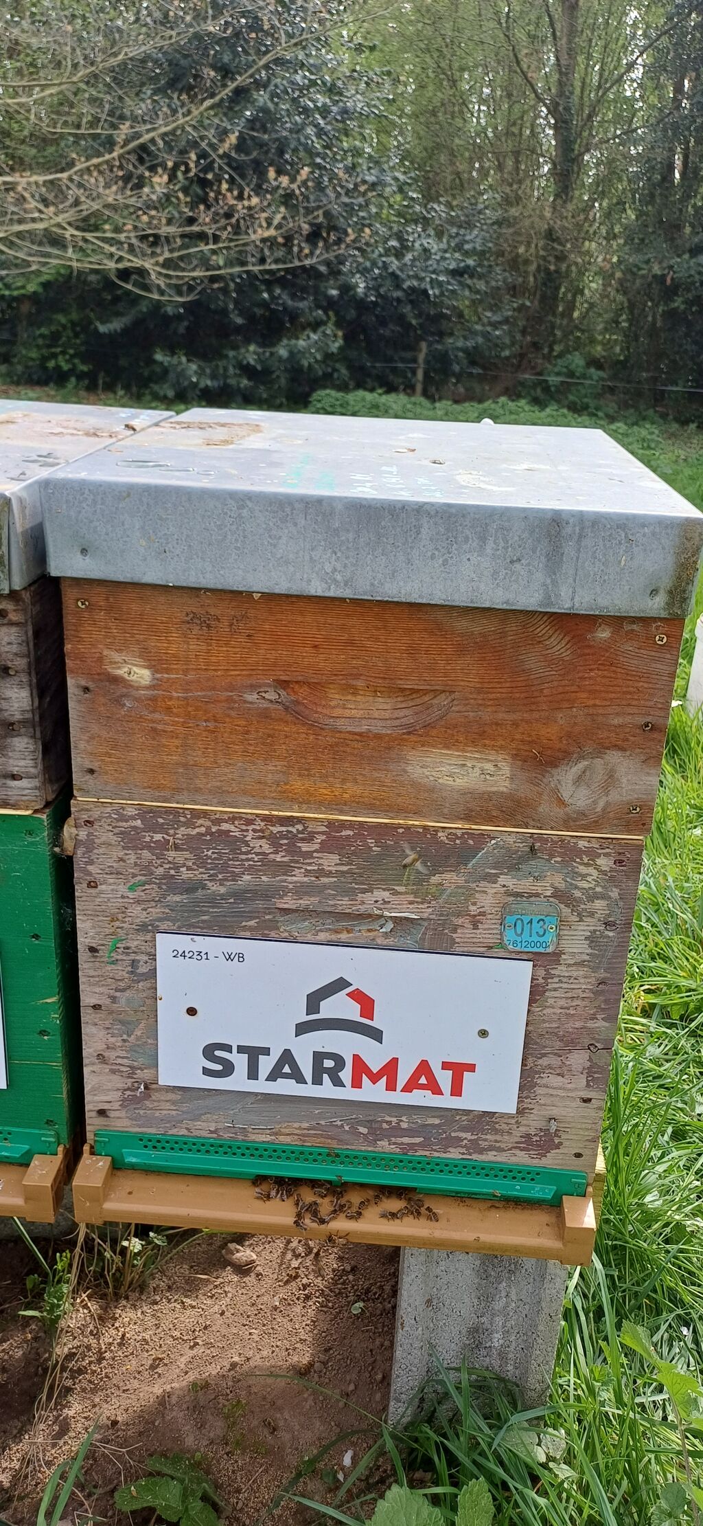 La ruche Starmat