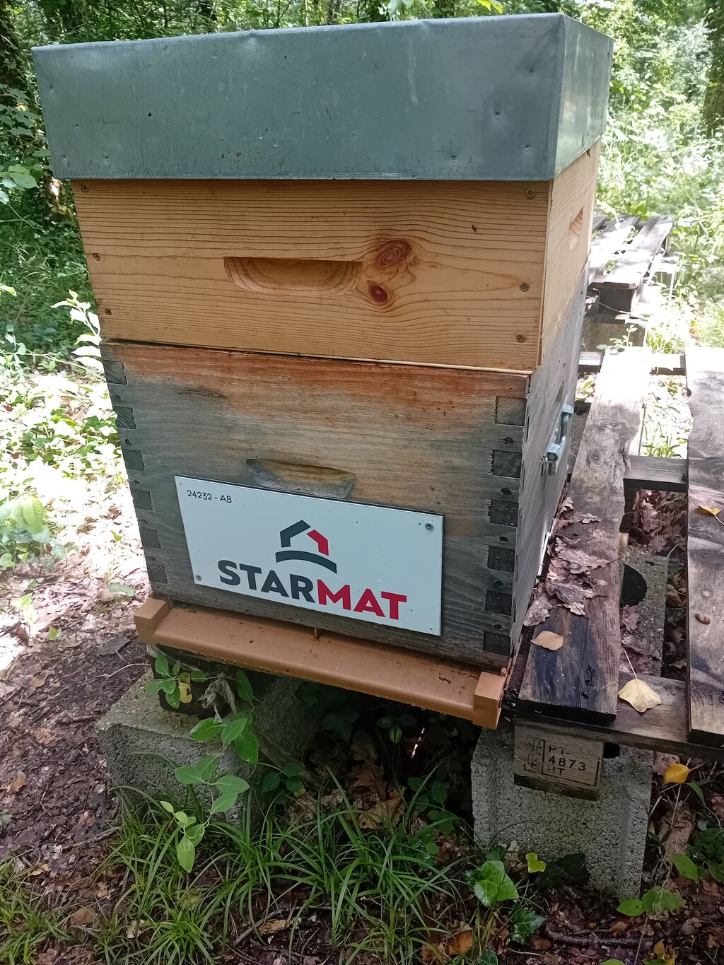 La ruche Starmat