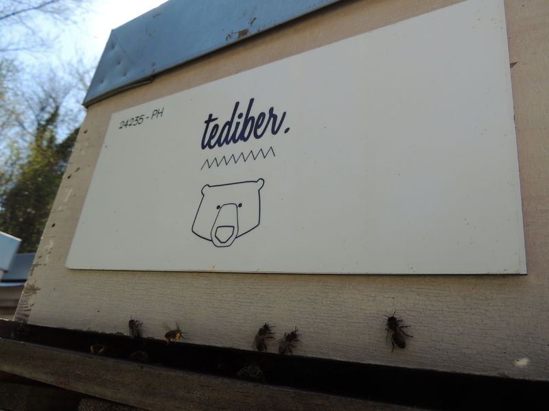 La ruche TEDIBER