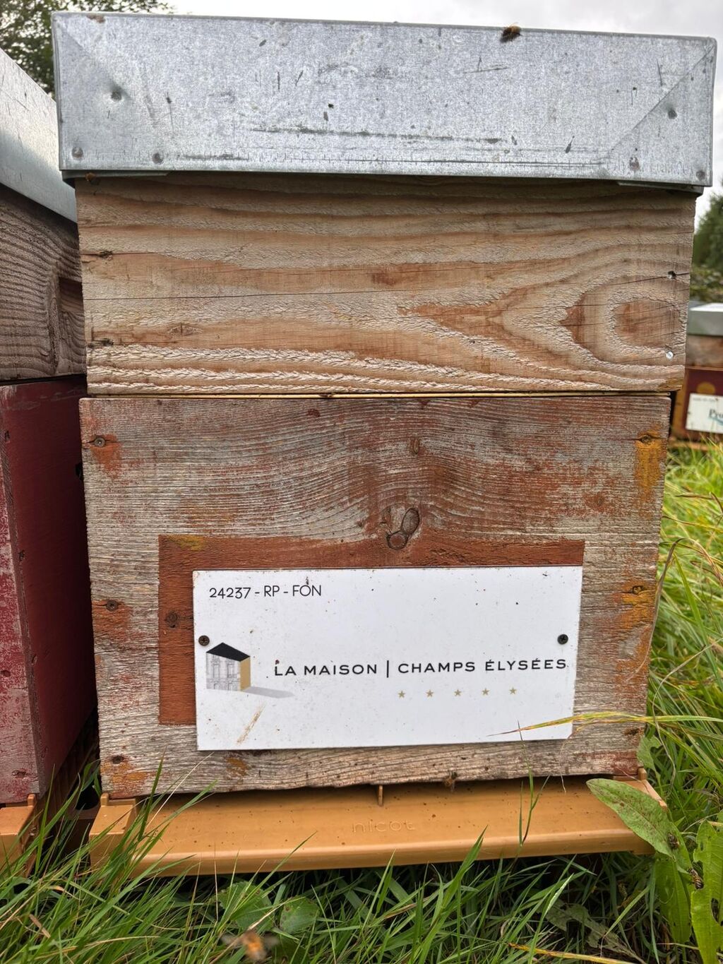 La ruche LA MAISON CHAMPS ELYSEES