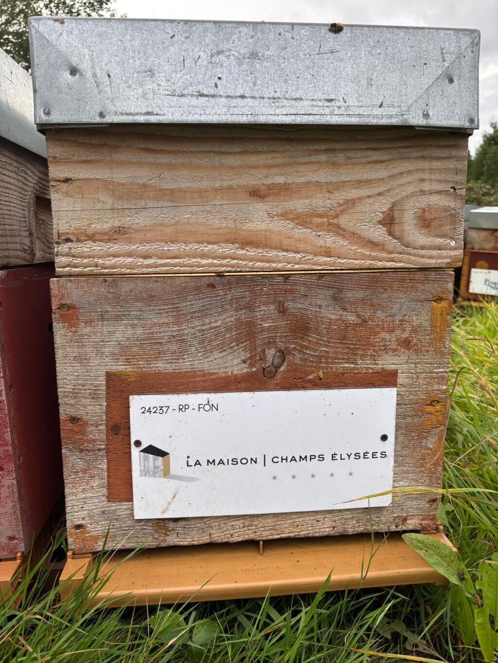 La ruche LA MAISON CHAMPS ELYSEES