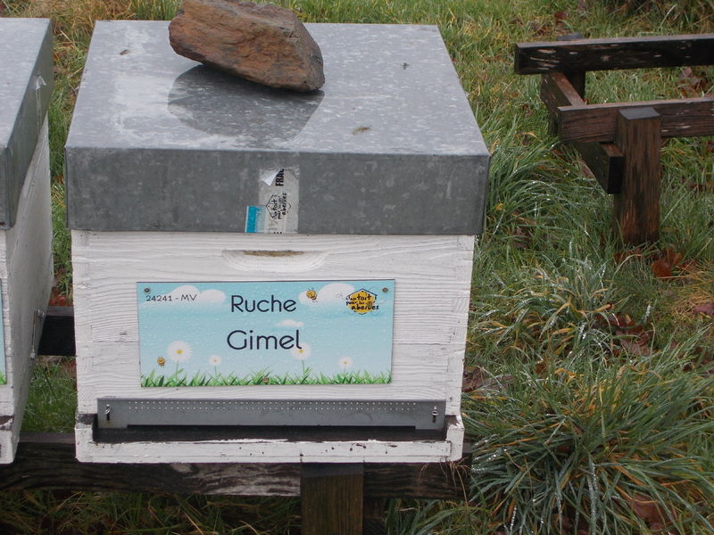 La ruche Gimel