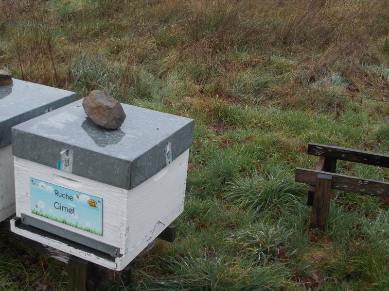 La ruche Gimel
