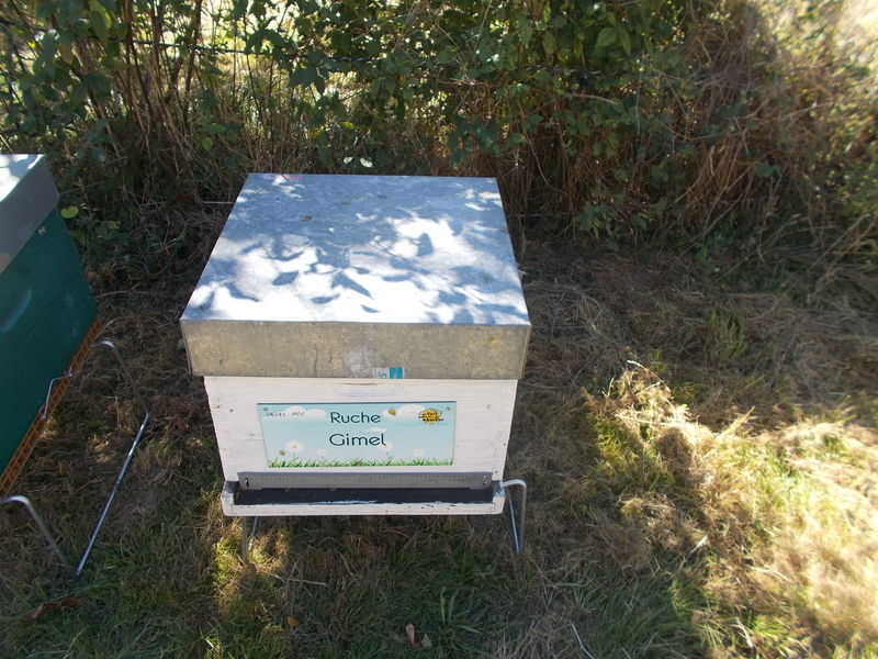 La ruche Gimel