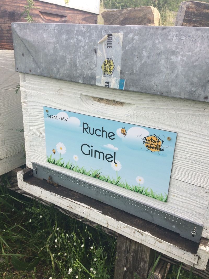 La ruche Gimel