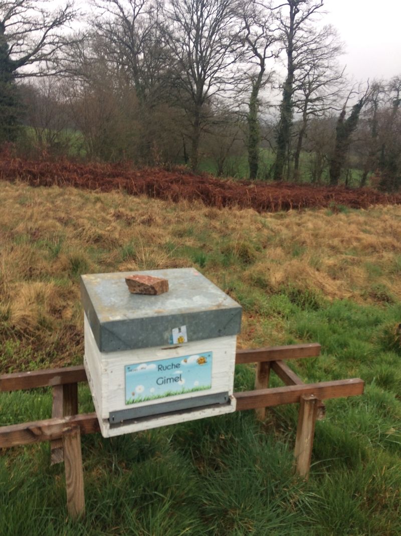 La ruche Gimel