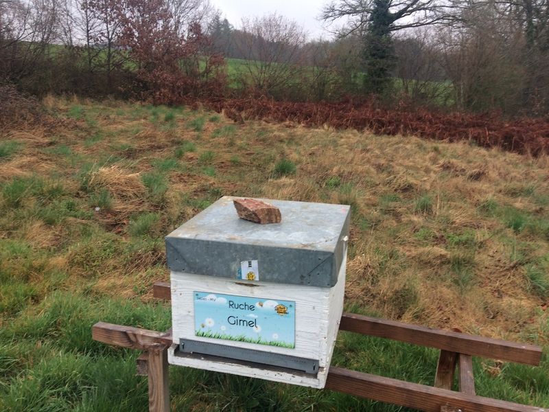 La ruche Gimel