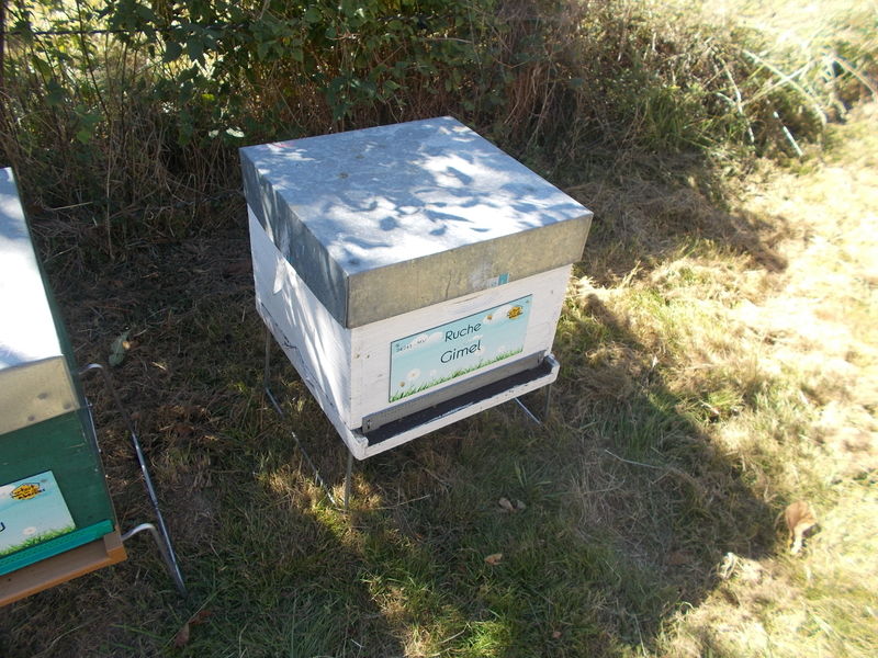 La ruche Gimel