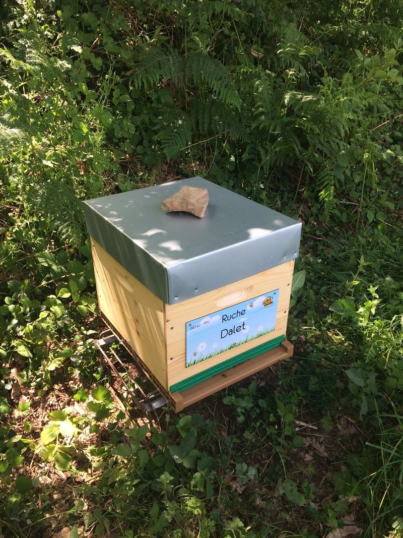 La ruche Dalet