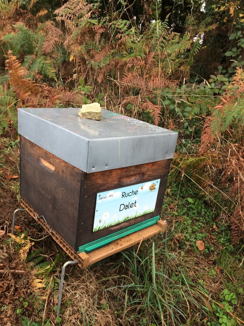 La ruche Dalet