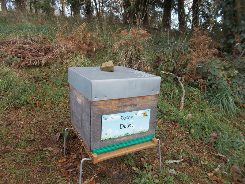 La ruche Dalet